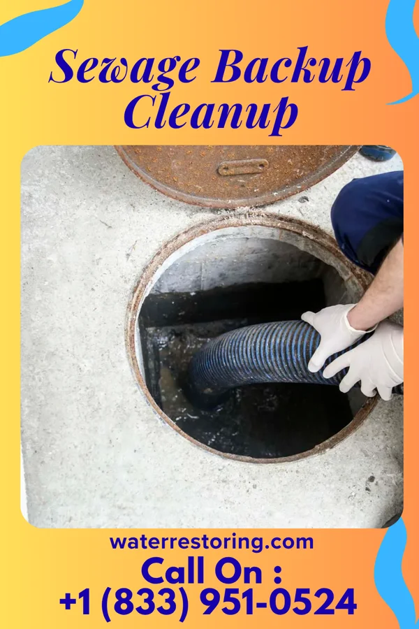Sewage Backup Cleanup in Caberfae, MI