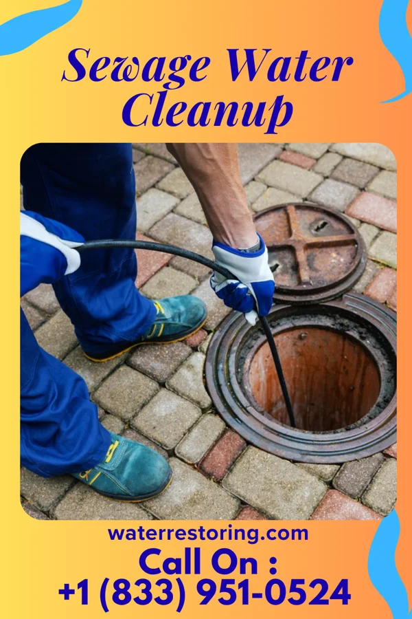 Sewage Water Cleanup in Caberfae, MI